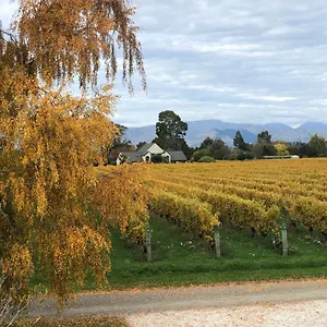 Vineyard In On The Golden Mile Blenheim